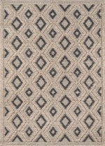 Desert Harmony Rug - 2 x 8