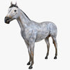 Western Stallion Decorative Statue - Gray