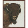 Bison Portrait Wall Art