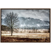 December Morning Framed Art