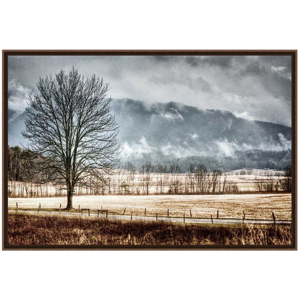 December Morning Framed Art