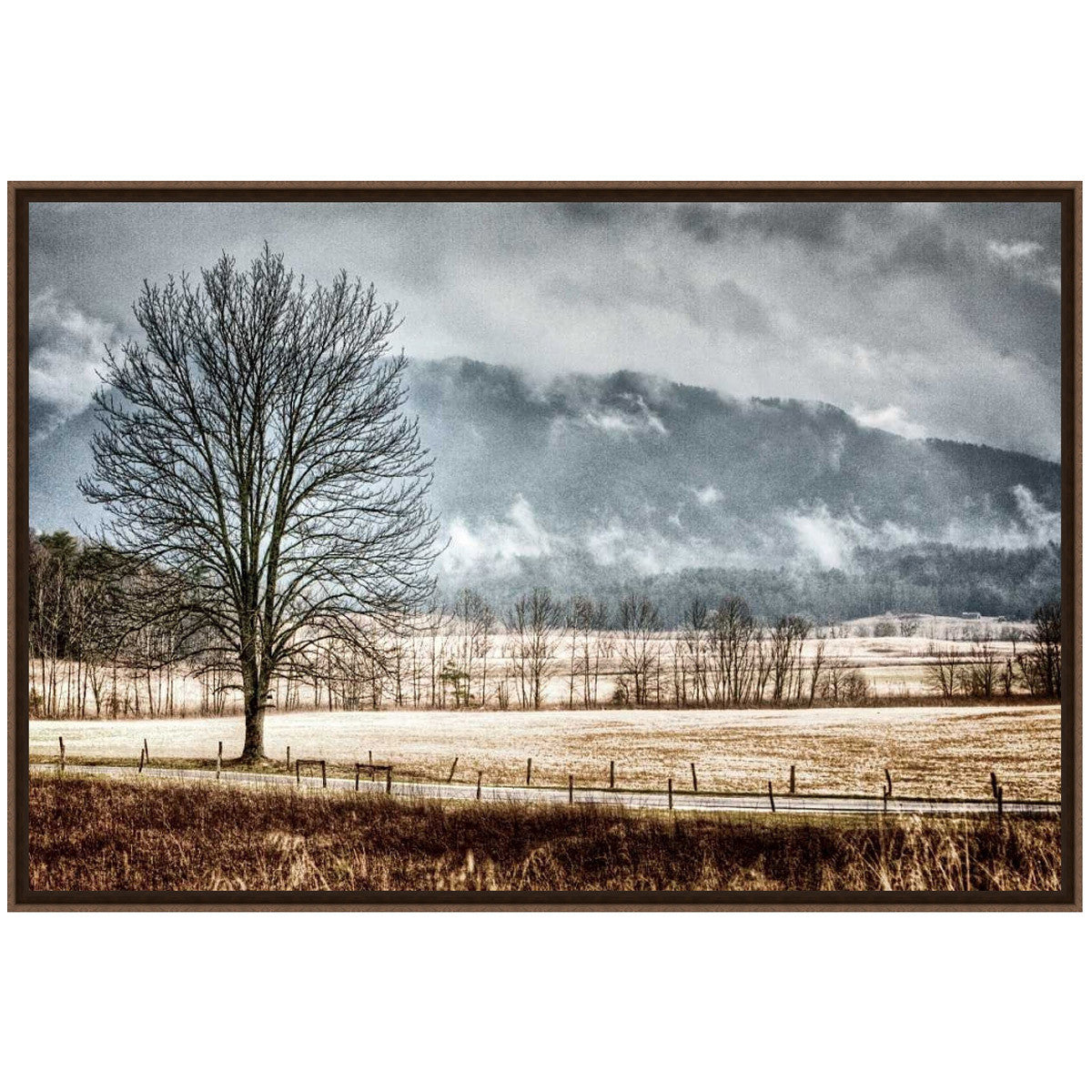 December Morning Framed Art