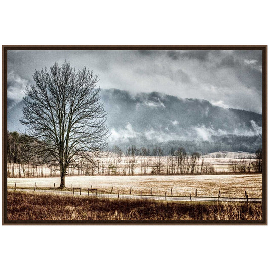 December Morning Framed Art