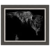 Tatanka Framed Art