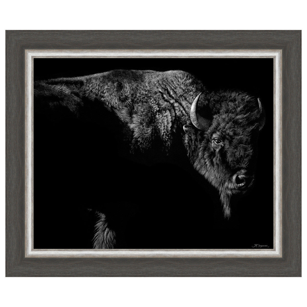 Tatanka Framed Art