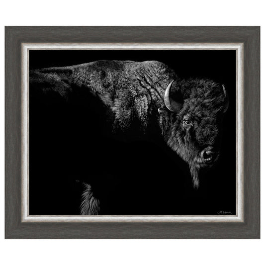 Tatanka Framed Art
