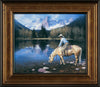 Colorado Cowboy Framed Print