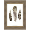Earthtone Feathers II Framed Print