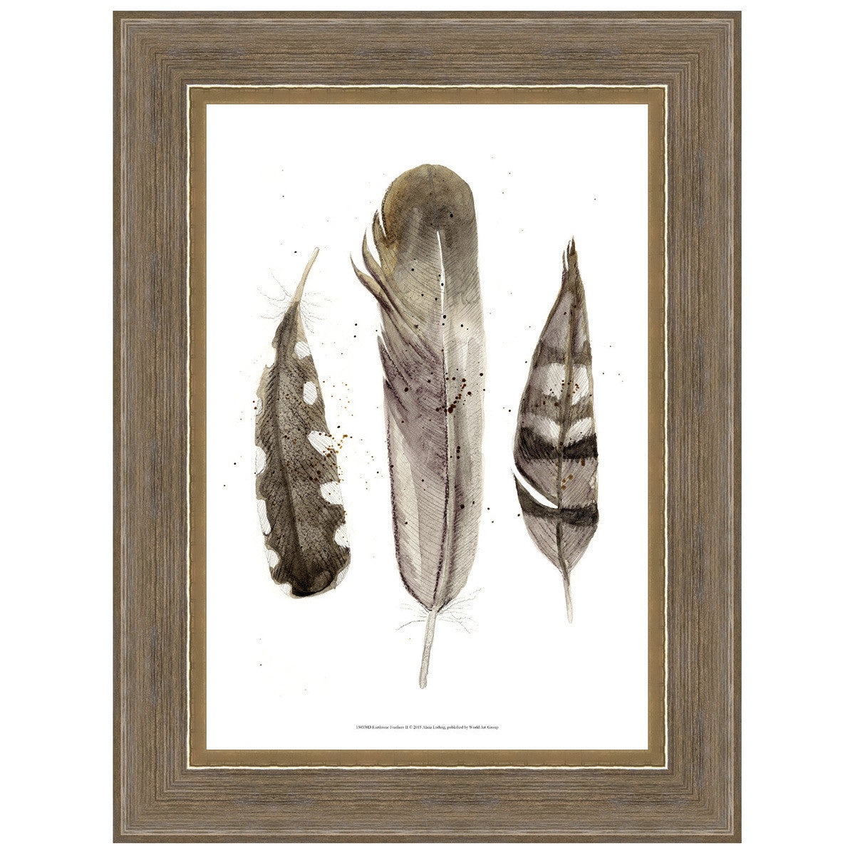 Earthtone Feathers II Framed Print