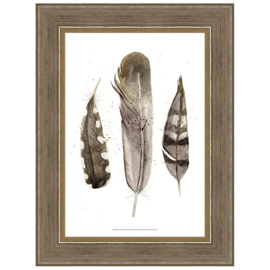 Earthtone Feathers II Framed Print