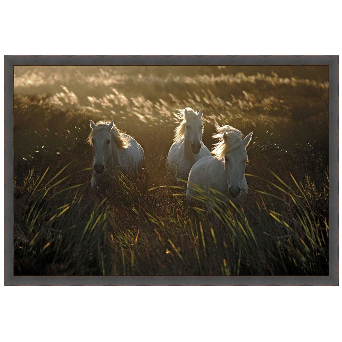 Golden Manes Canvas Art