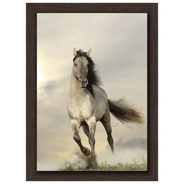 Wild Stallion Brown Framed Canvas