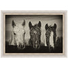 Three Amigos I Horse Framed Print