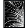 Plumage Framed Art