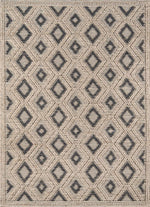 Desert Harmony Rug - 8 x 10