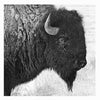 Plains Spirit Canvas Wall Art