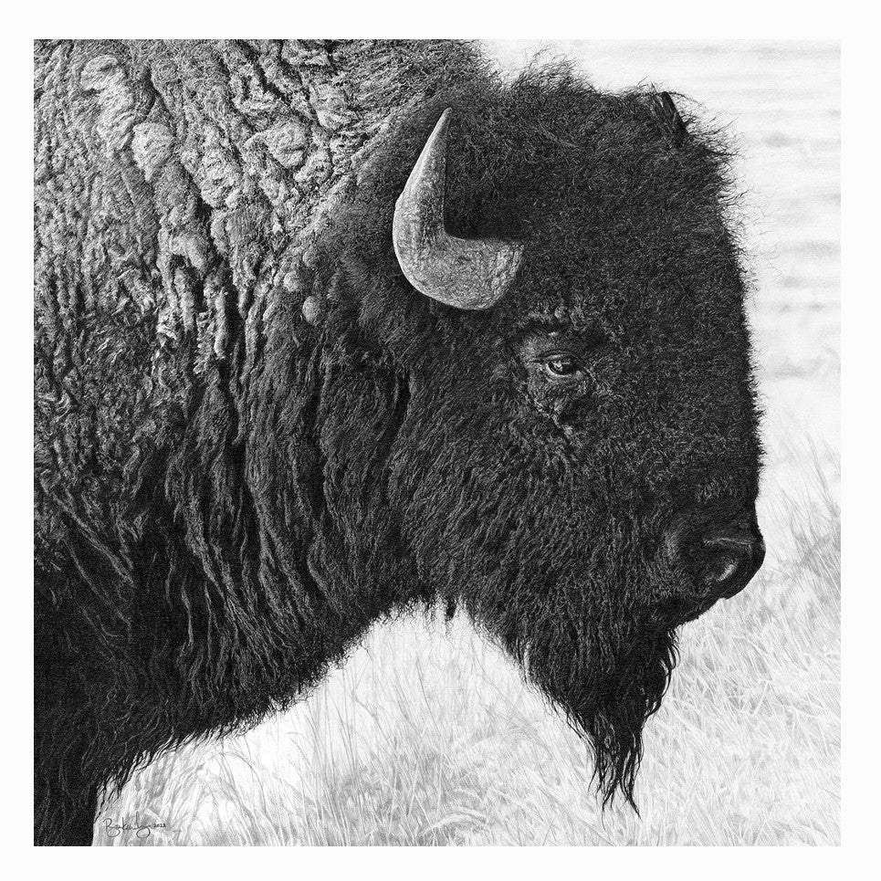 Plains Spirit Canvas Wall Art