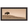 Guardian of the Plains Framed Canvas