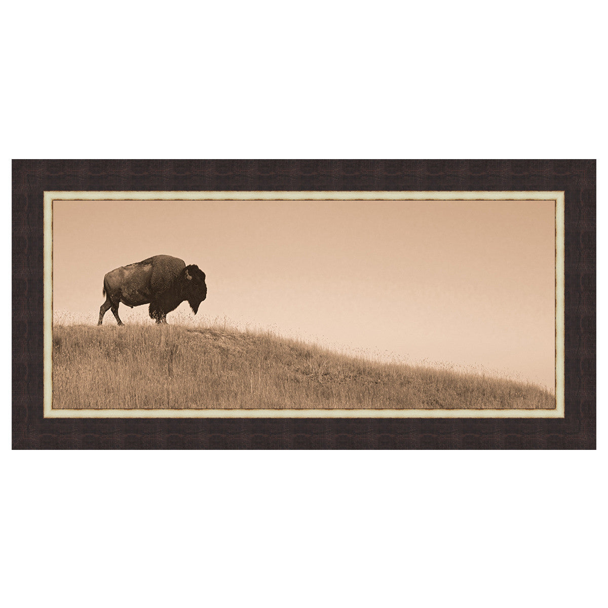 Guardian of the Plains Framed Canvas