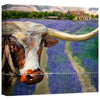 Texas BB Canvas Wall Art