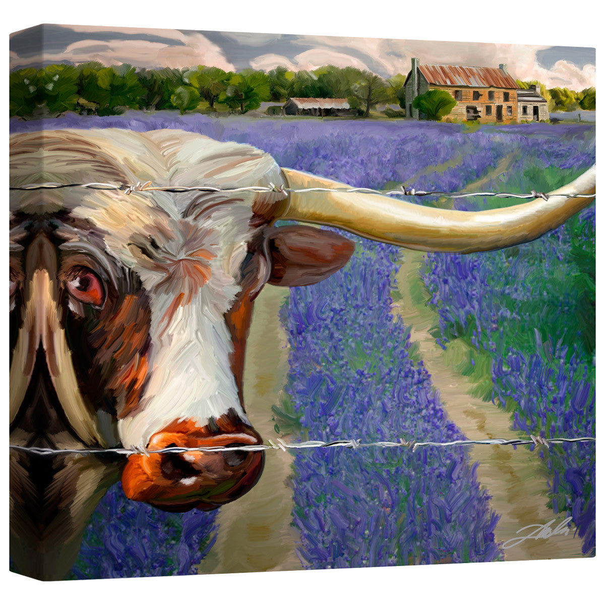 Texas BB Canvas Wall Art