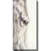 Pale Eye Indoor/Outdoor Canvas Art