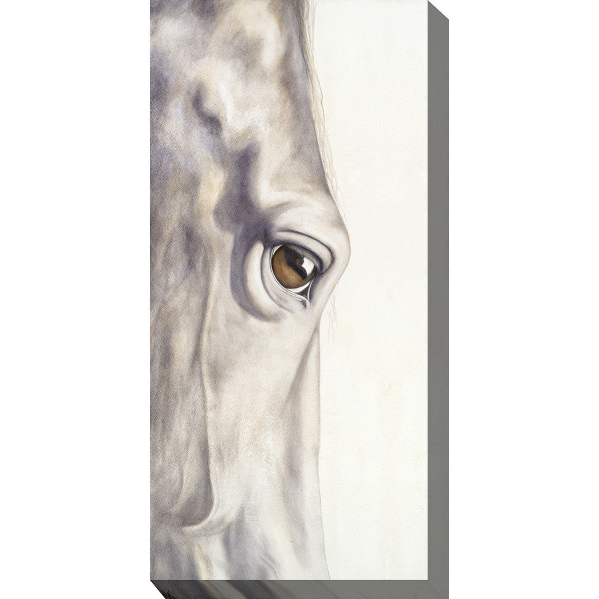 Pale Eye Indoor/Outdoor Canvas Art