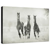 Arriving Gallery Wrapped Canvas