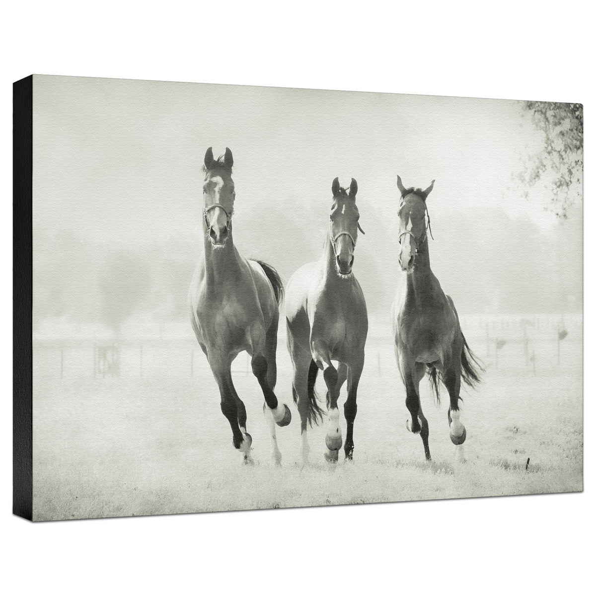 Arriving Gallery Wrapped Canvas