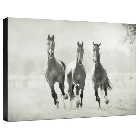 Arriving Gallery Wrapped Canvas