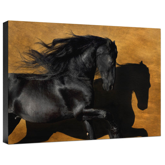 Fabiano I Color Gallery Wrapped Canvas