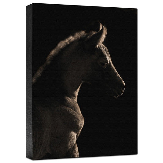 A Moment in Time Gallery Wrapped Canvas