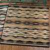 Medicine Light Rug - 8 x 11