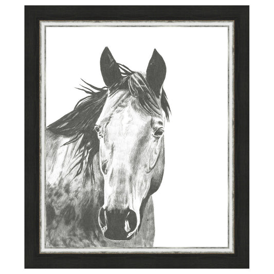 Wildlife Snapshot Horse I Framed Print