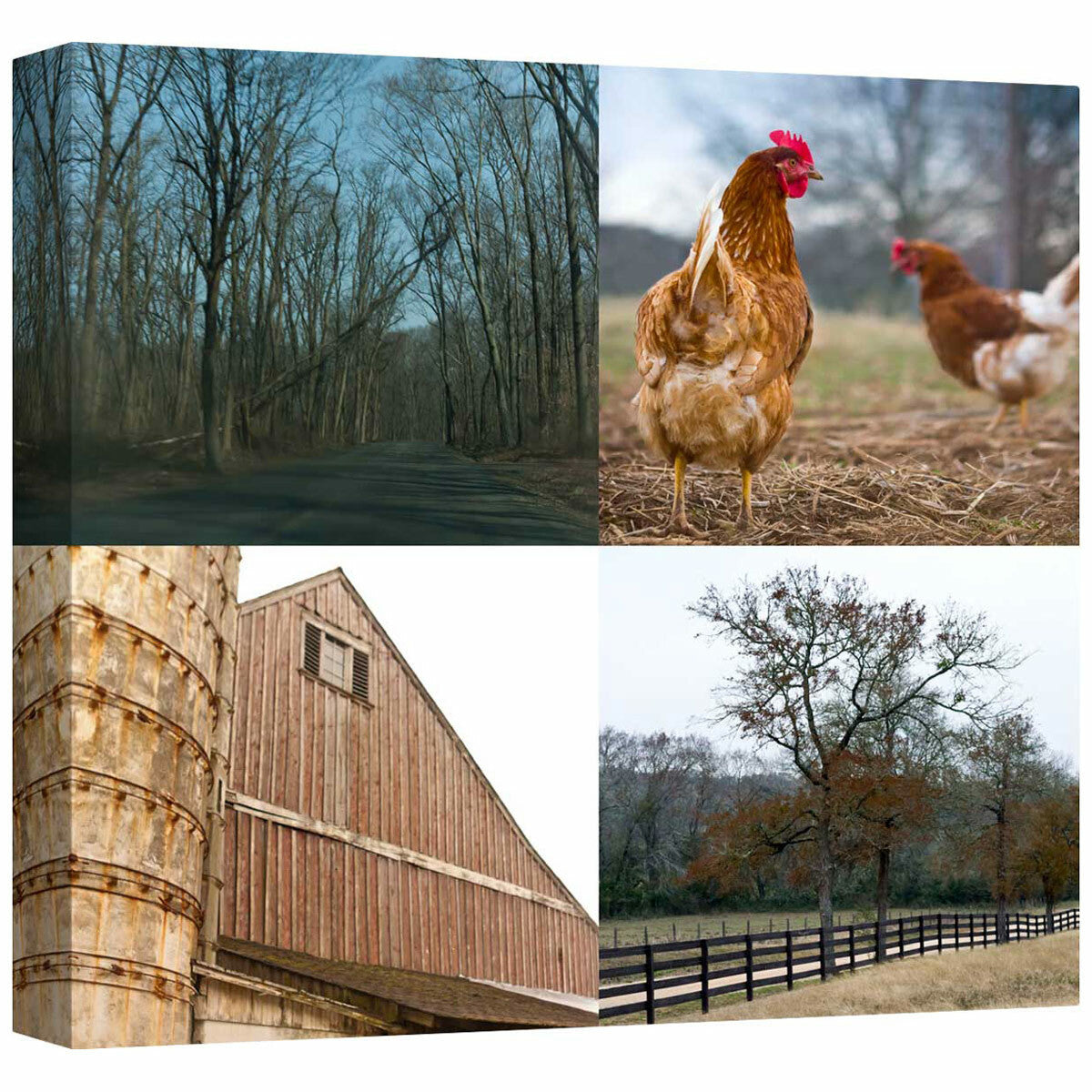 The Country III Mirror Wrapped Canvas