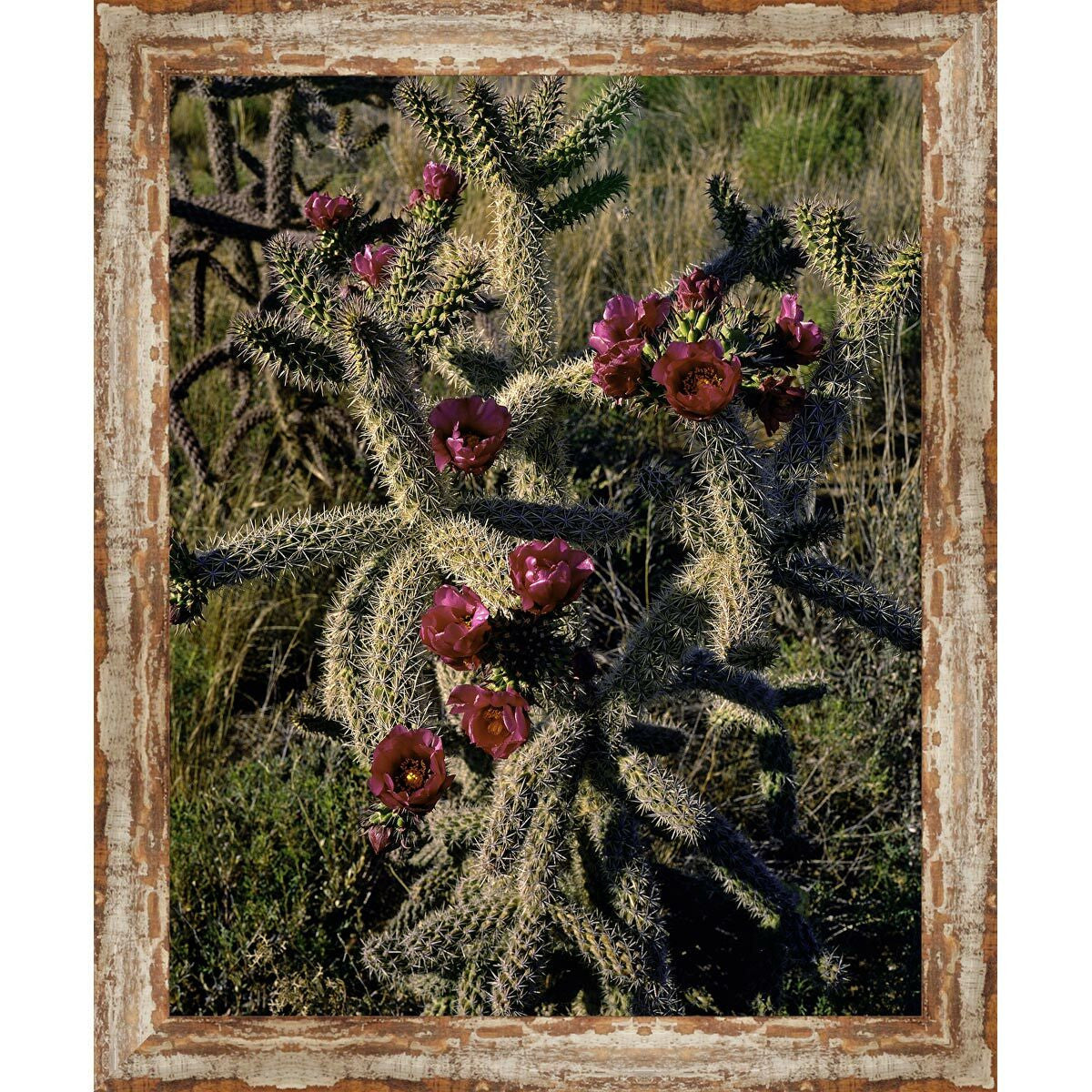 Sedona Cactus Framed Canvas