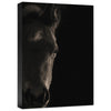 Look at Me Gallery Wrapped Canvas