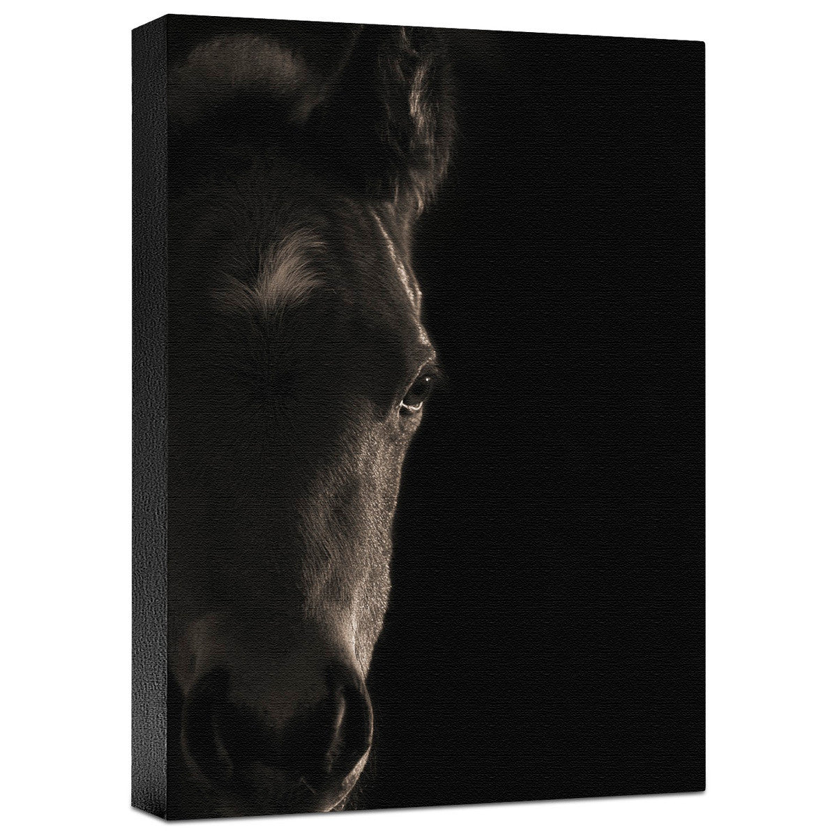 Look at Me Gallery Wrapped Canvas