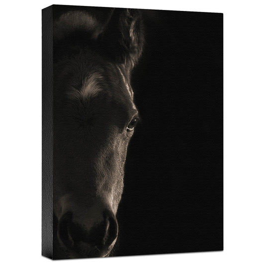 Look at Me Gallery Wrapped Canvas