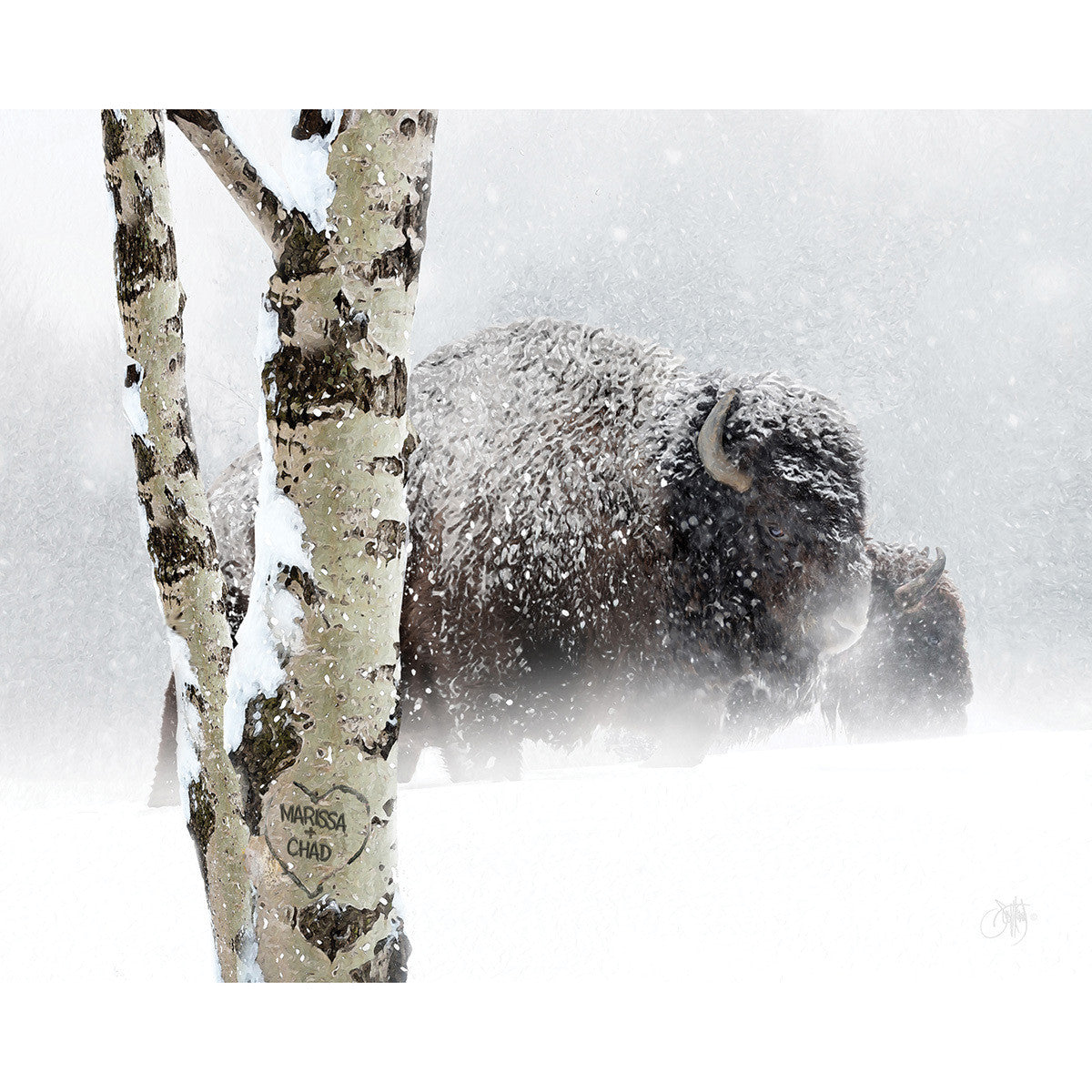 Snow Bison Personalized Stretched Canvas - Large