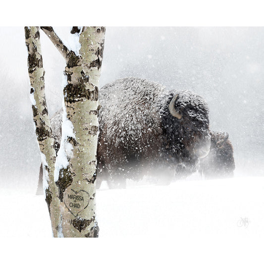 Snow Bison Personalized Stretched Canvas - Large