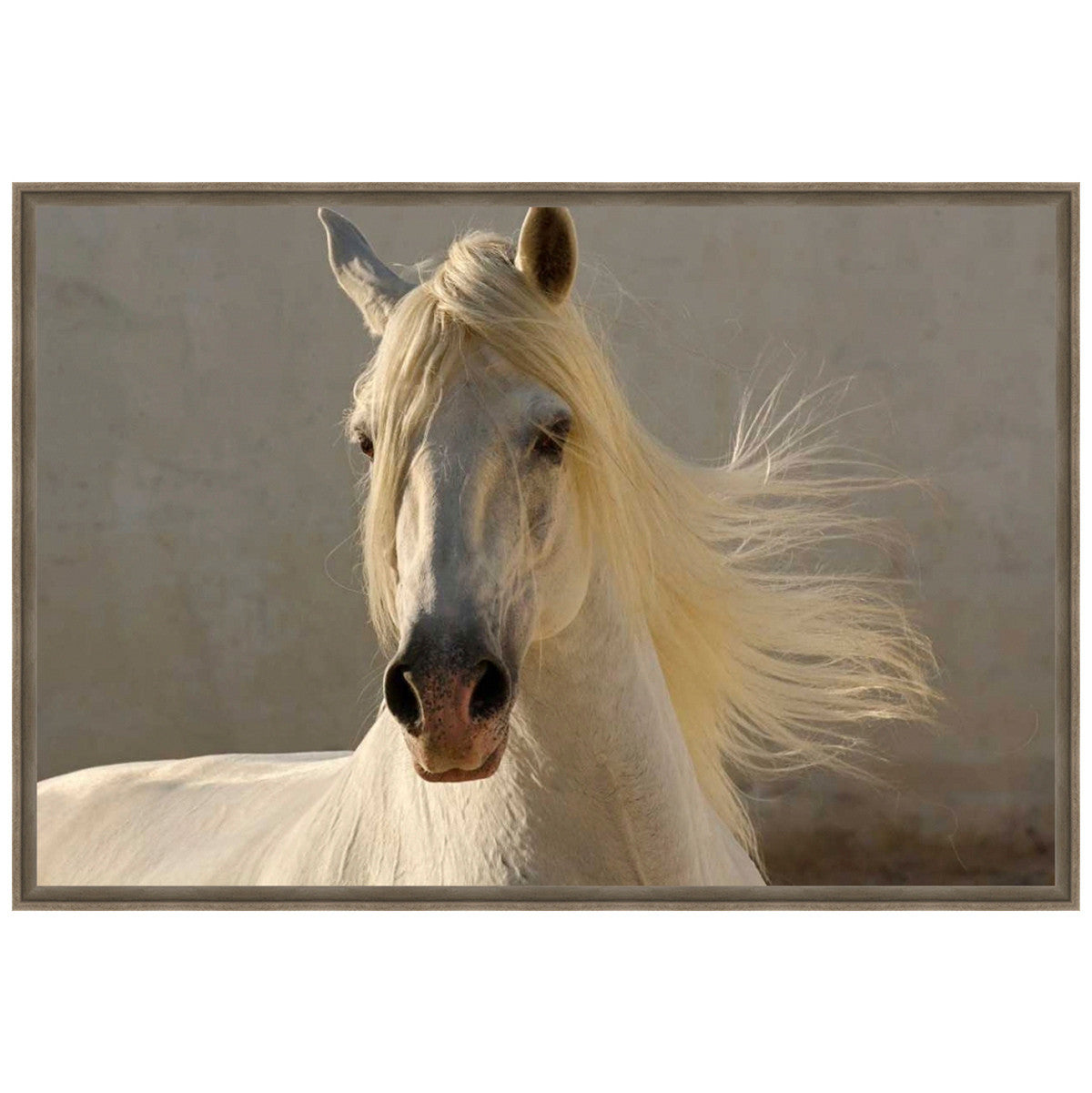 Mane Canvas Art
