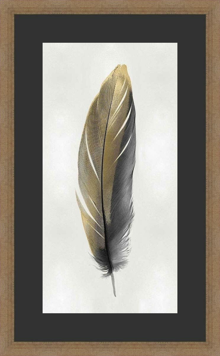 Floating Feather Framed Wall Art