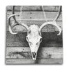 Barnwood Deer Skull Canvas Wall Art