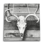 Barnwood Deer Skull Canvas Wall Art