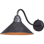 Trailhead Outdoor 12 Inch Wall Sconce with Long Arm - Aged Iron