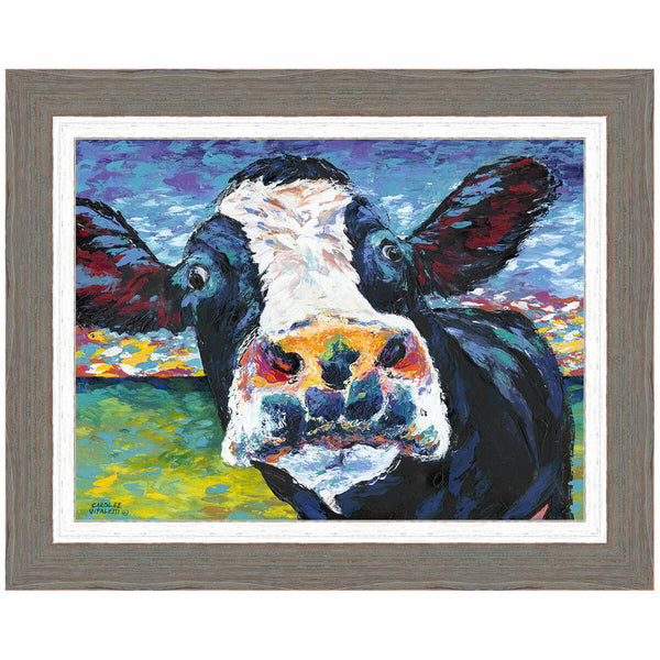 Curious Cow II Framed Print