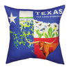 Lone Star State Indoor/Outdoor Pillow
