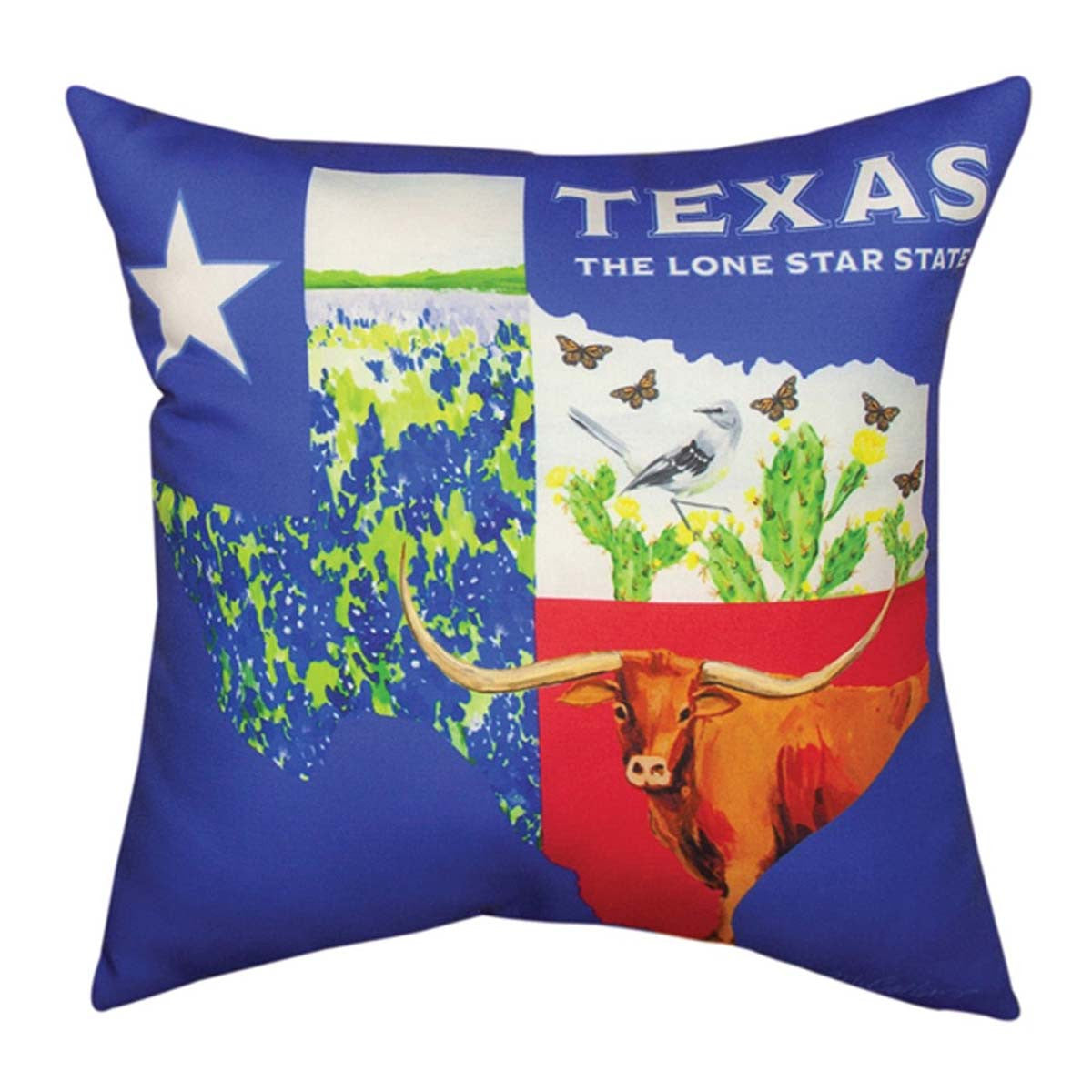 Lone Star State Indoor/Outdoor Pillow