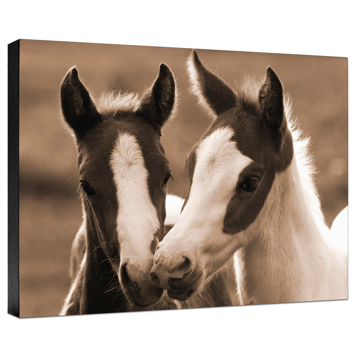 Playful Friends Gallery Wrapped Canvas